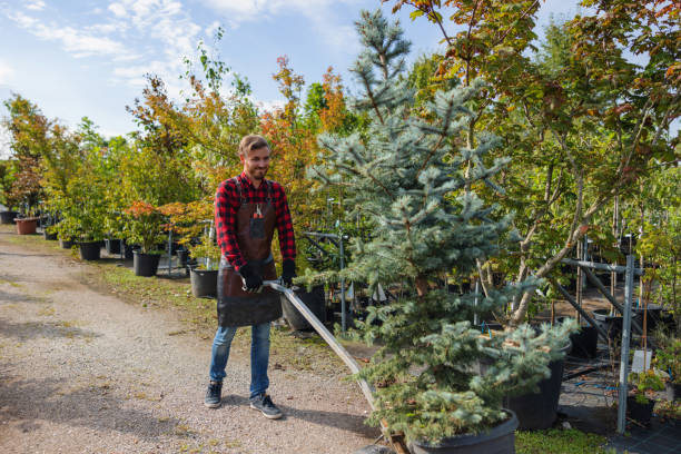 Best Residential Tree Removal  in Golden Grove, SC